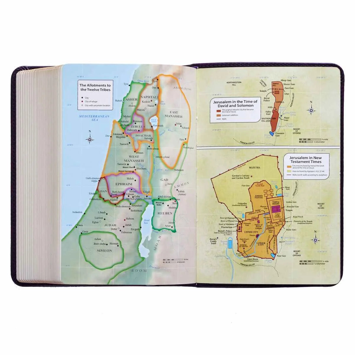 KJV Holy Bible, Compact Large Print Faux Leather Red Letter Edition - Purple