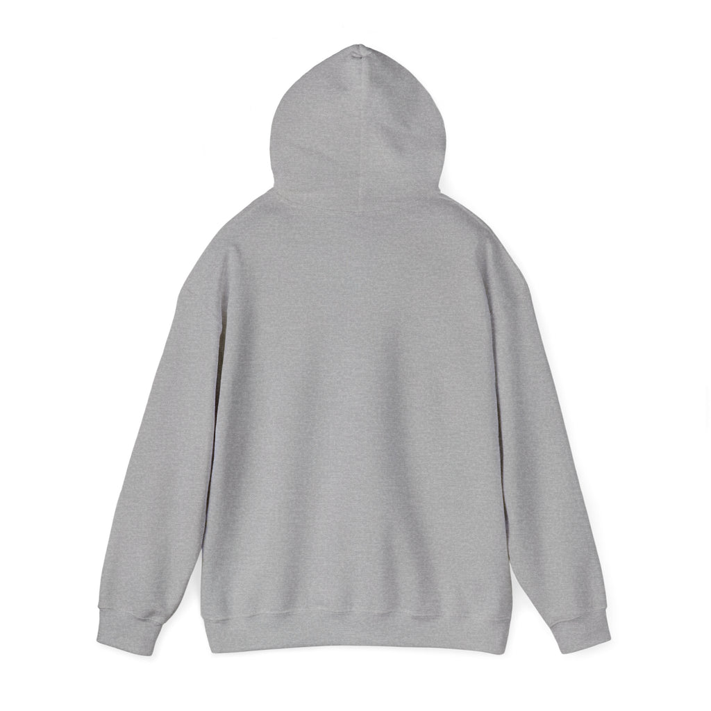 Minimal Boho Rainbow Hoodie — Tiny Floral Rainbow Graphic Sweatshirt