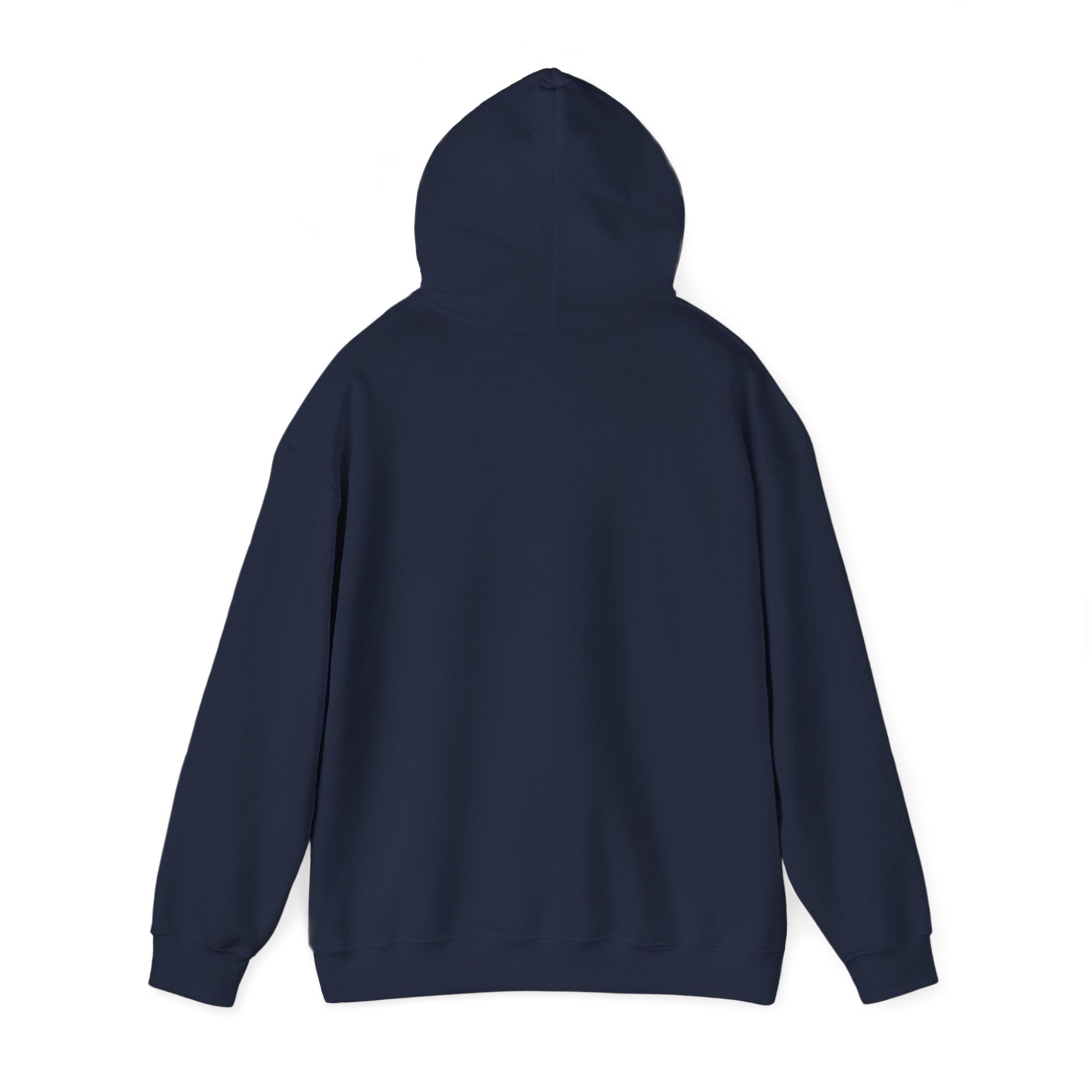 Be Bold Be Kind hoodie | handwritten marker font, brush script style