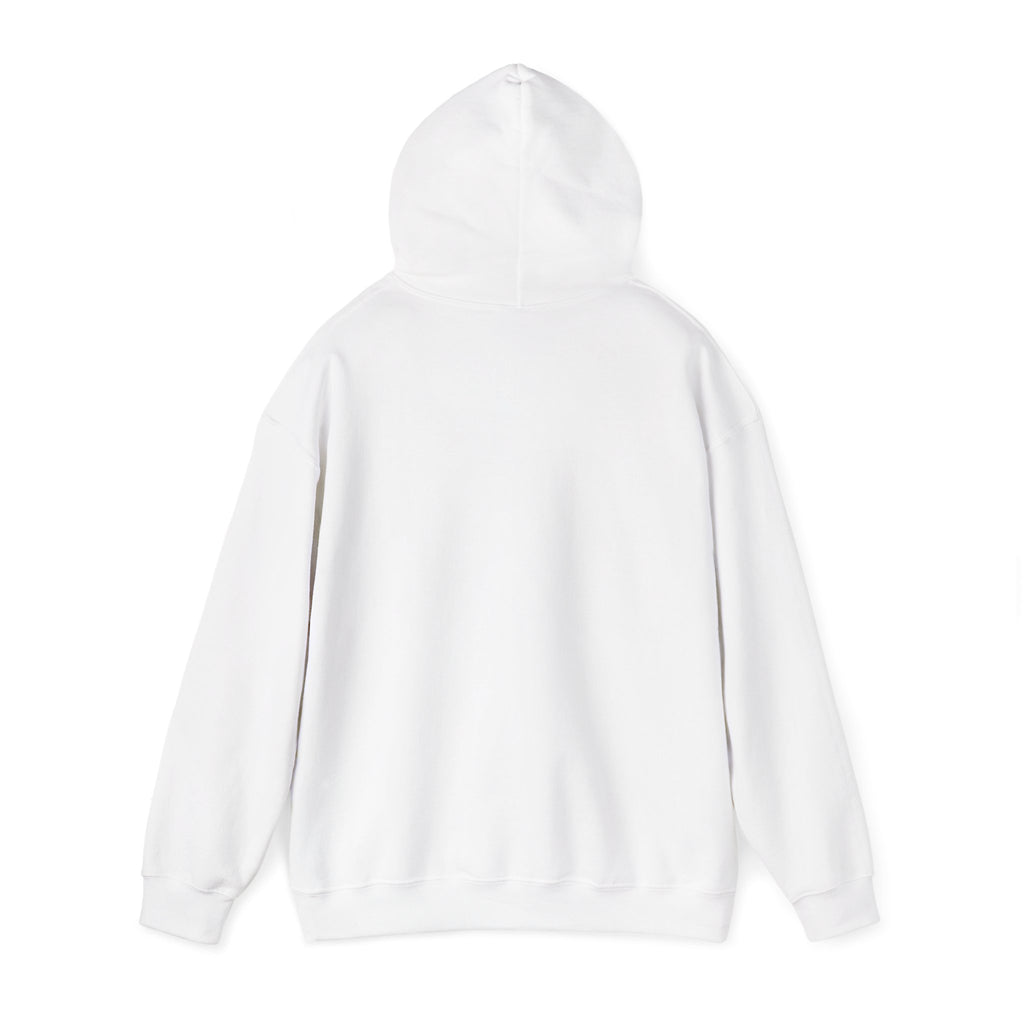 Be Bold Be Kind hoodie | handwritten marker font, brush script style