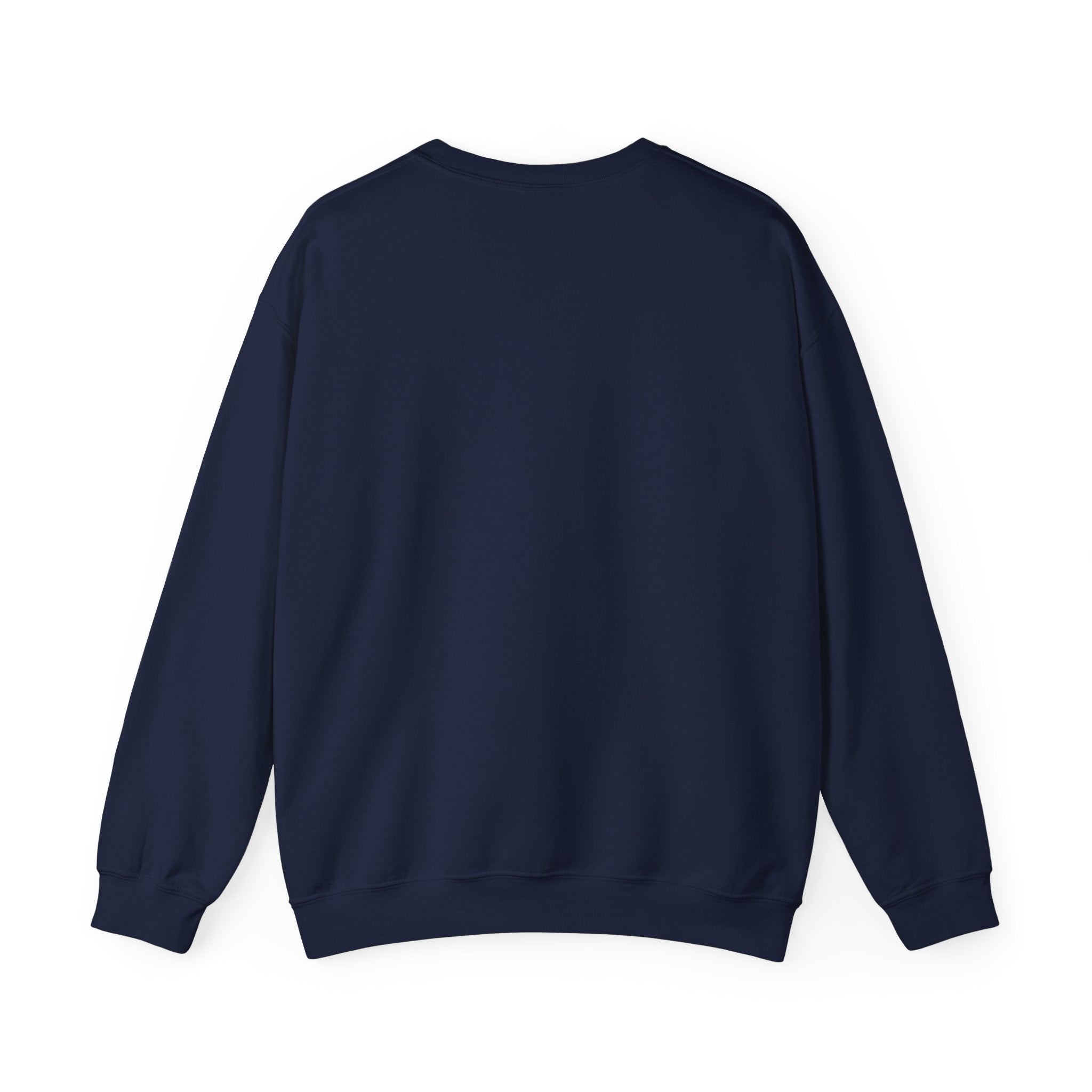 Neutral Rainbow Arc Sweatshirt | muted rainbow boho desert arc design