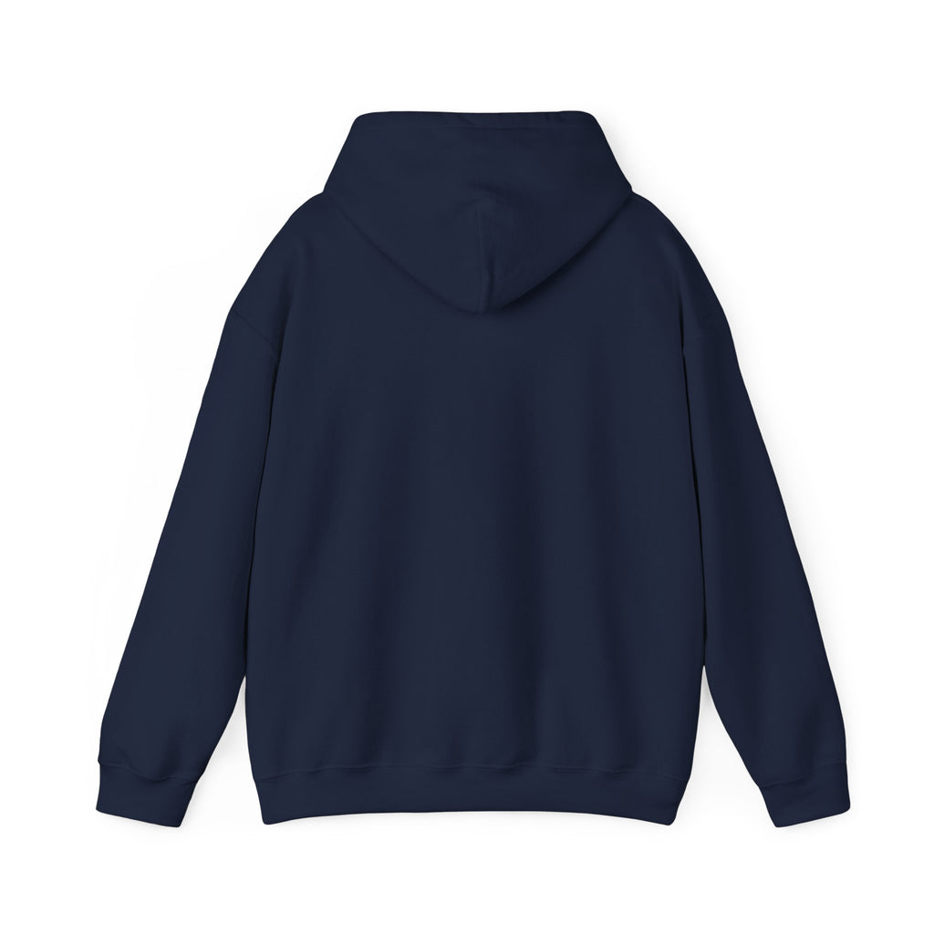 Minimal Boho Rainbow Hoodie — Tiny Floral Rainbow Graphic Sweatshirt