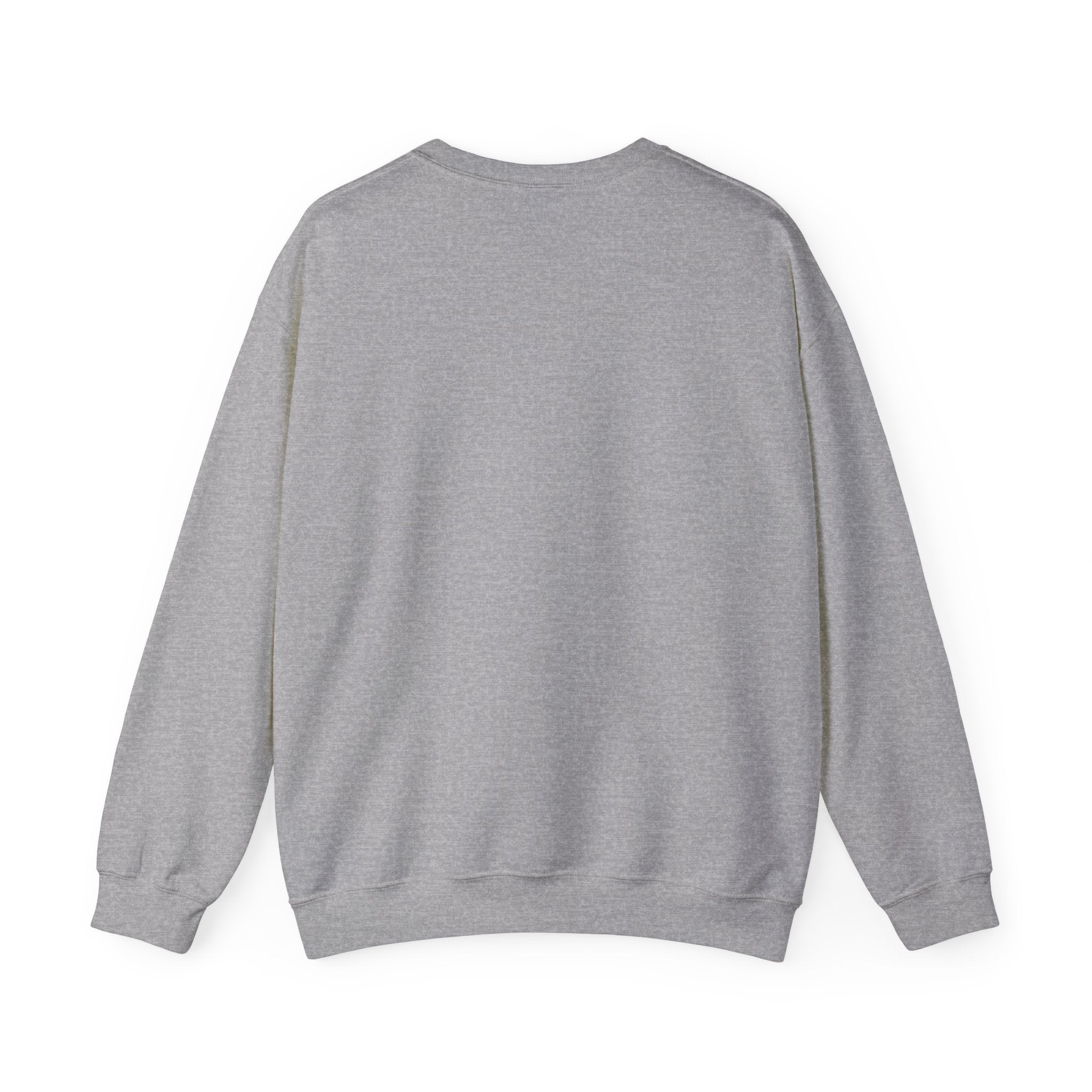 Be Bold Be Kind sweatshirt | handwritten marker font, brush script style