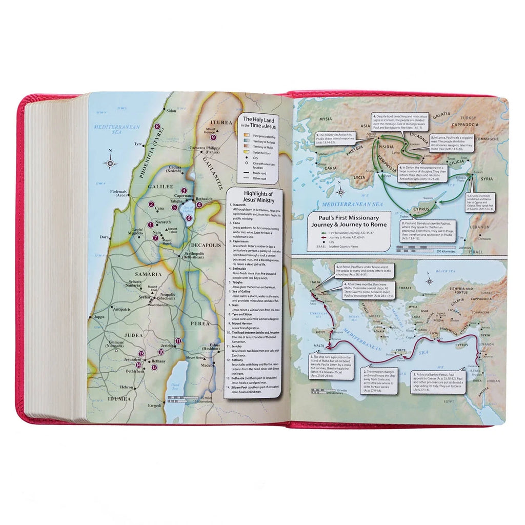 KJV Compact Large Print Lux-Leather Pink (Large Print) (Hardcover)