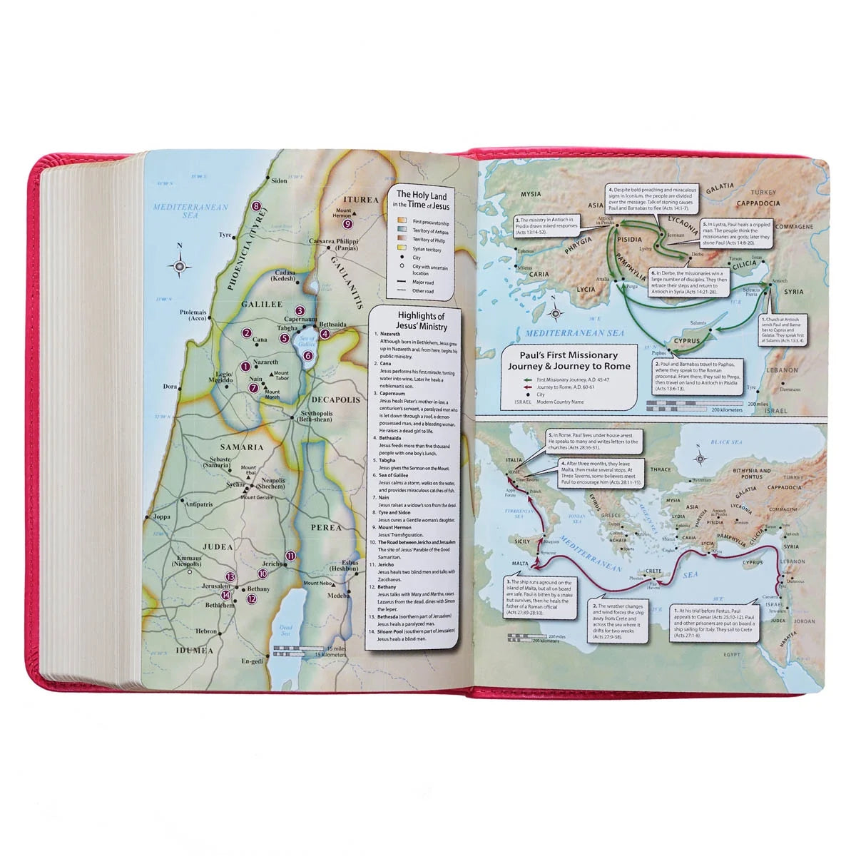 KJV Compact Large Print Lux-Leather Pink (Large Print) (Hardcover)